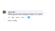 Comments by the fan on the post (Image via Facebook/@Teresa C. Brad)